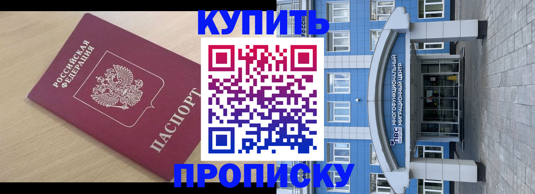временная регистрация для всех в Димитровграде